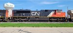 CN 8000